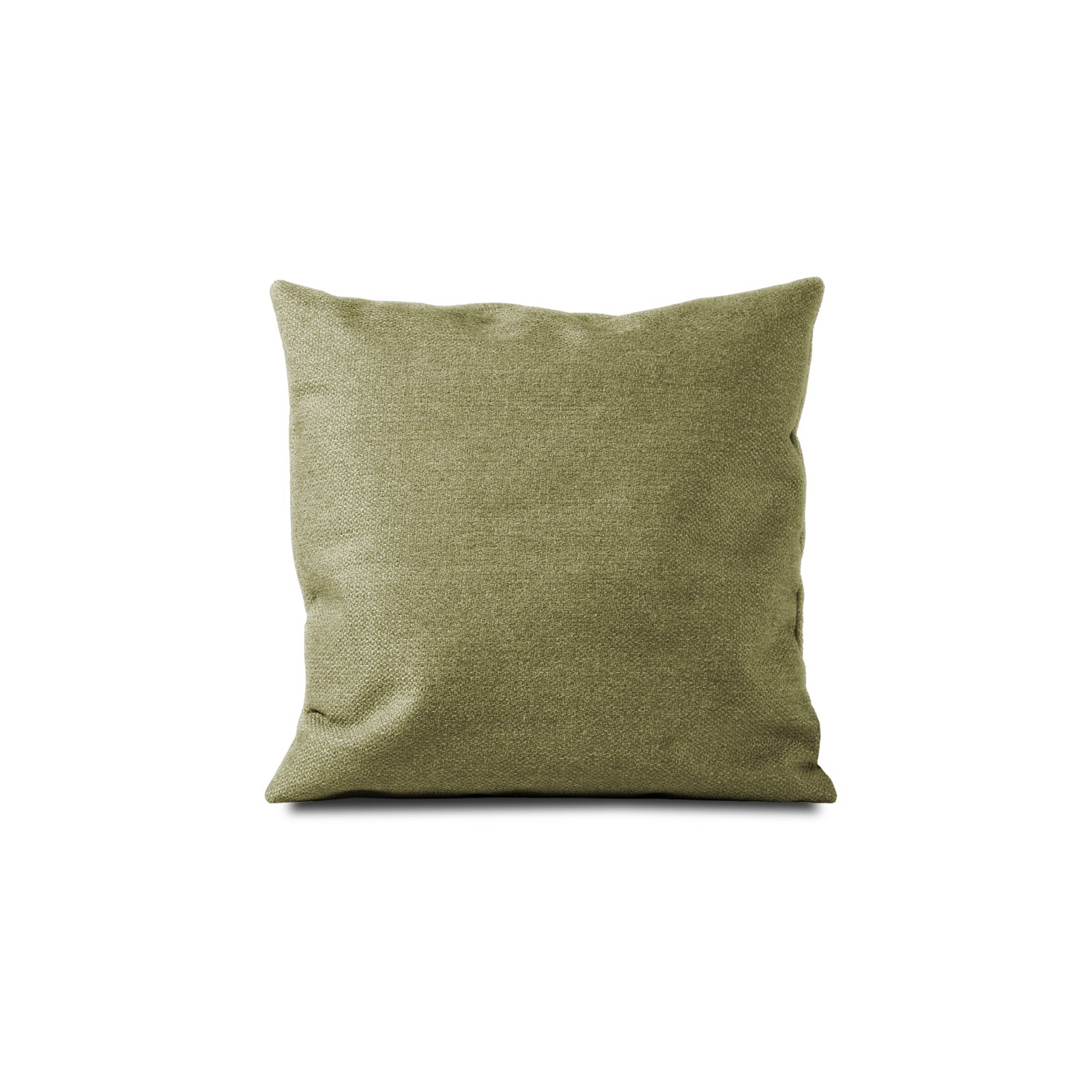 #color_olive green - eco