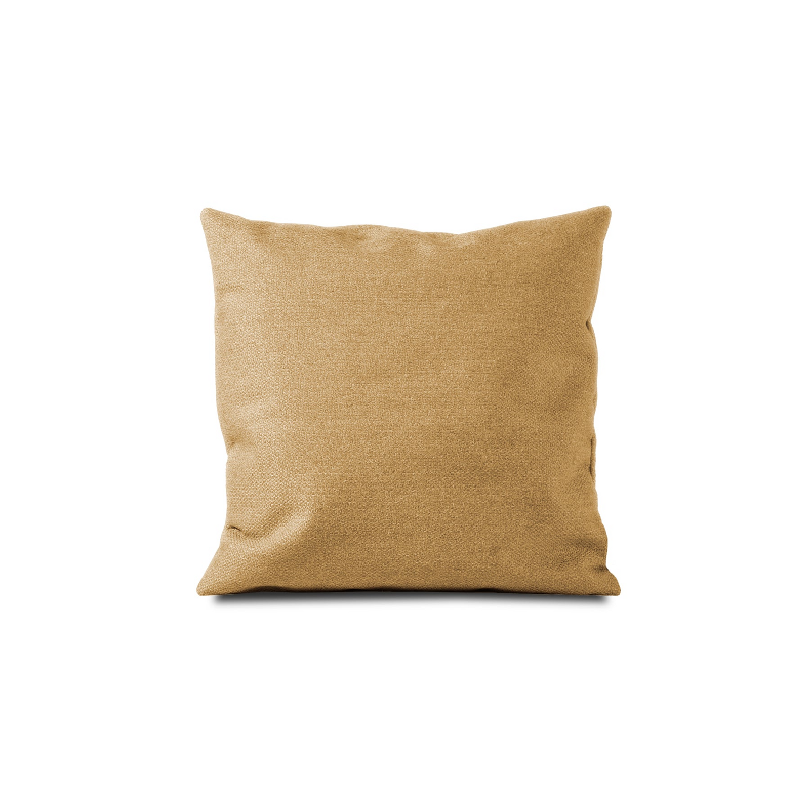 #color_chanterelles yellow - eco