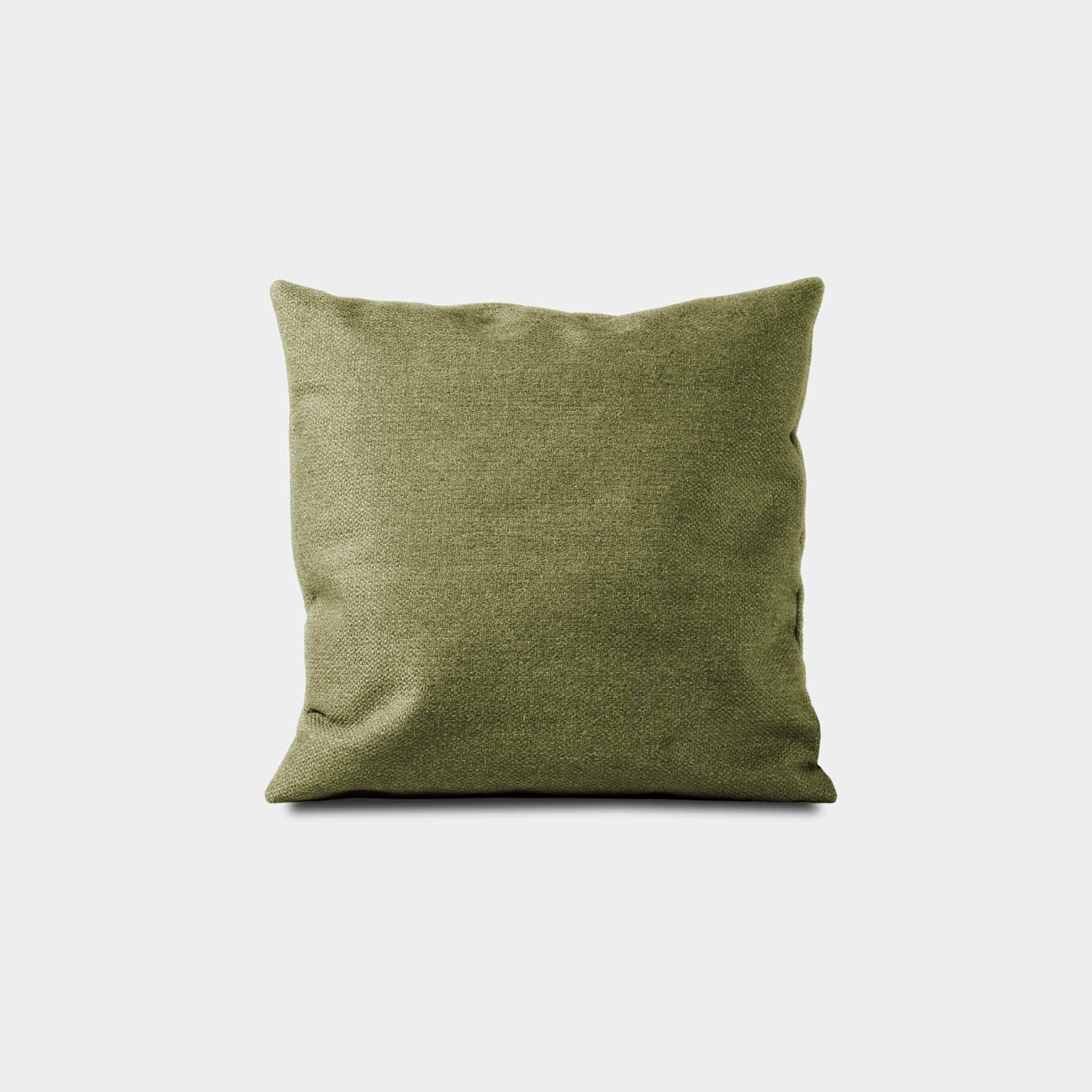 #color_olive green - eco